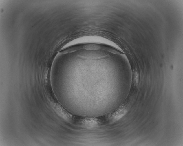 X0000086290668200703301137