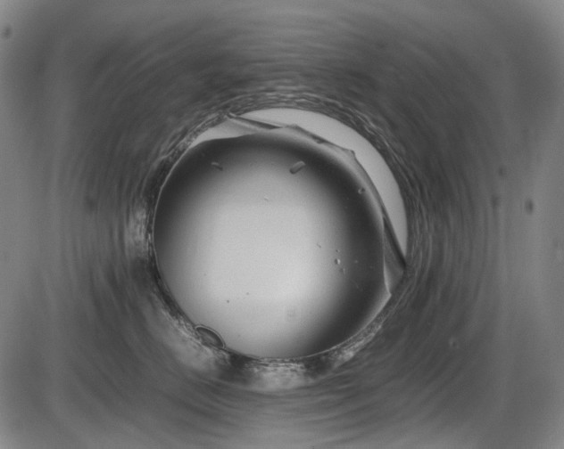 X0000086290670200703301137