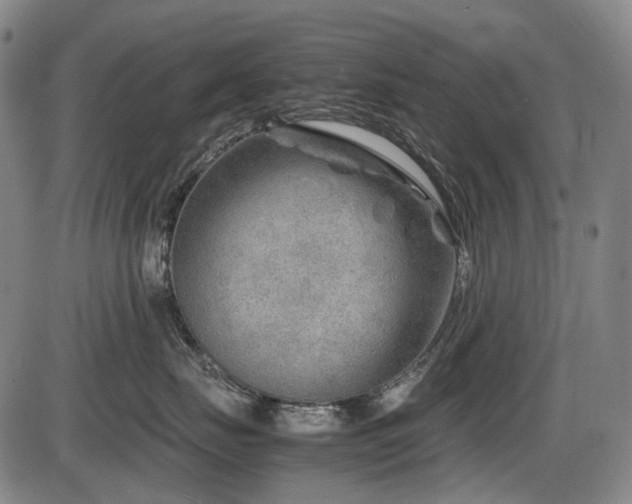 X0000086290671200703301137