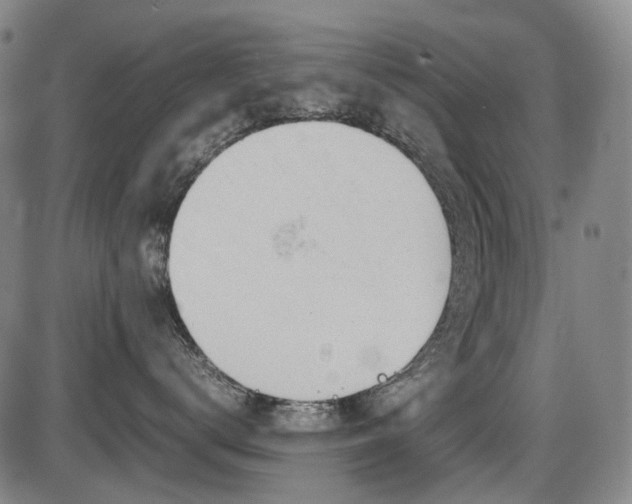 X0000086290672200703301137