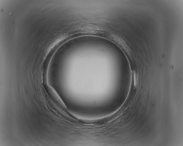 X0000086290675200703301136