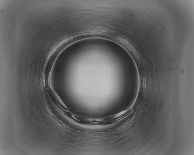 X0000086290676200703301136