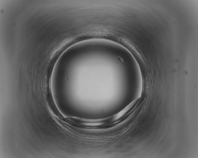 X0000086290677200703301136