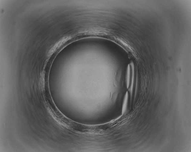 X0000086290678200703301136
