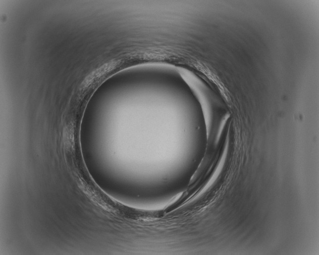 X0000086290681200703301136