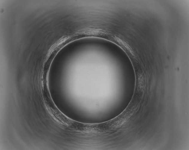 X0000086290682200703301136