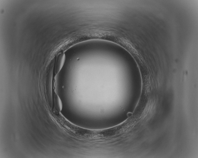 X0000086290683200703301136