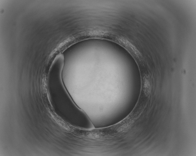 X0000086290684200703301136