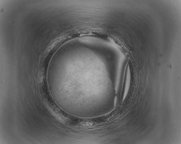 X0000086290687200703301136