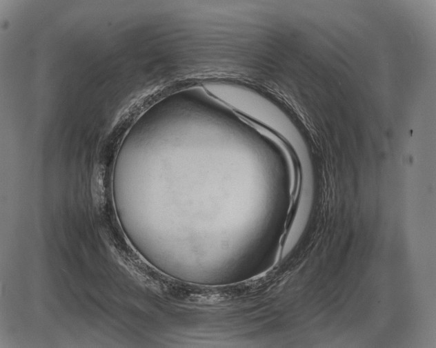 X0000086290688200703301136