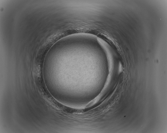 X0000086290689200703301136