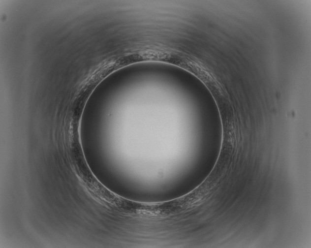 X0000086290690200703301136
