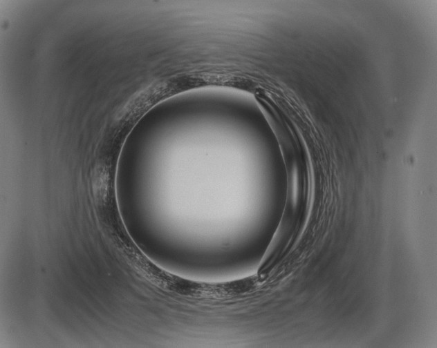 X0000086290697200703301136