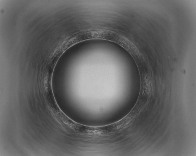 X0000086290698200703301136
