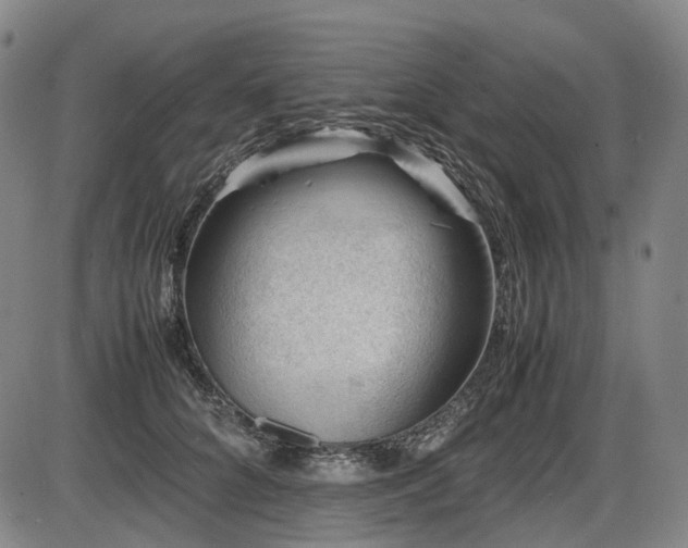 X0000086290704200703301136