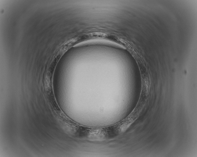 X0000086290705200703301136