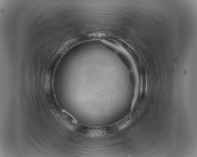X0000086290708200703301136