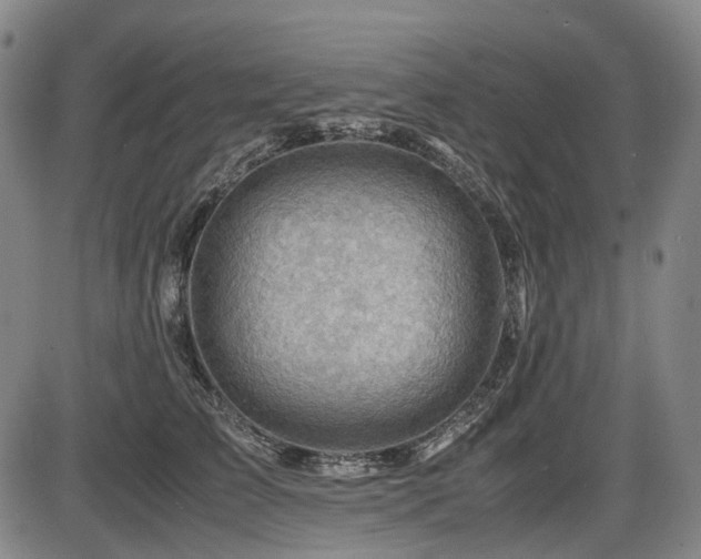X0000086290709200703301136
