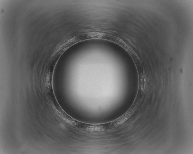 X0000086290714200703301136
