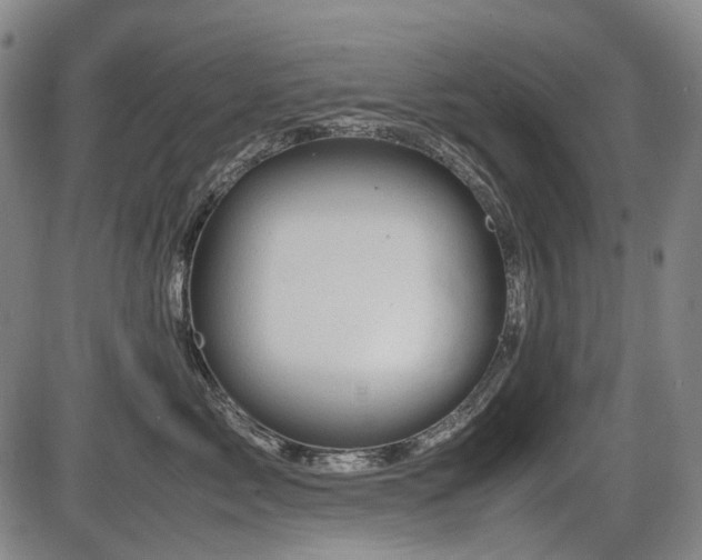 X0000086290717200703301136