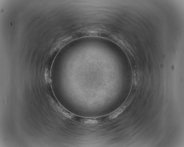 X0000086290718200703301136