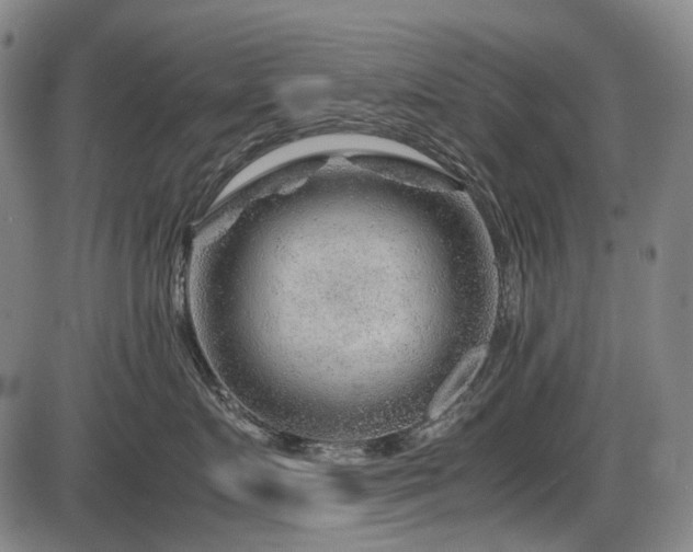 X0000086290719200703301136
