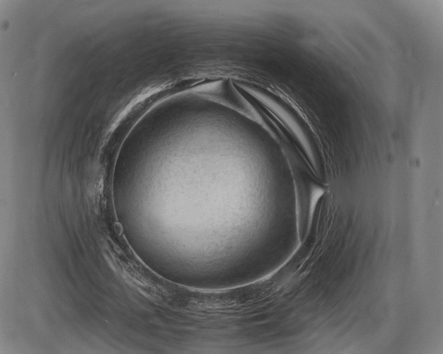 X0000086290723200703301135