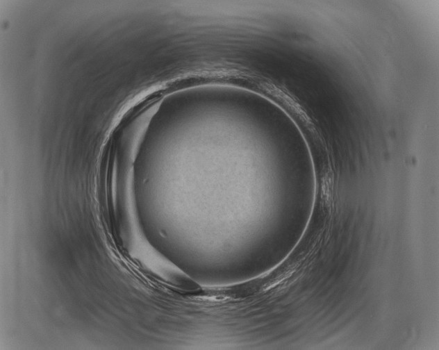 X0000086290724200703301135