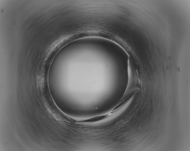 X0000086290728200703301135