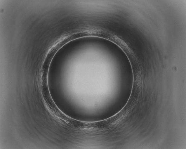 X0000086290730200703301135