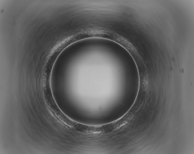 X0000086290732200703301135