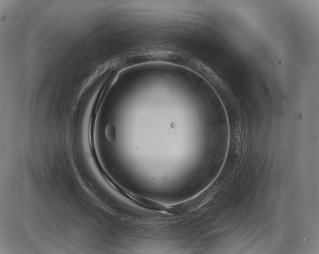 X0000086290734200703301135