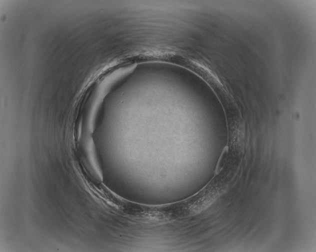 X0000086290736200703301135