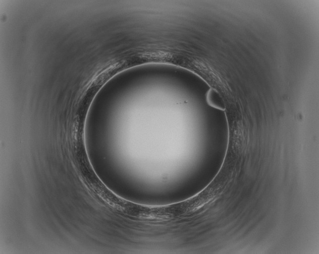 X0000086290739200703301135