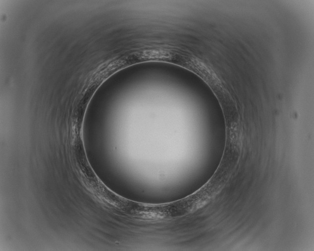 X0000086290741200703301135