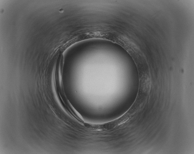 X0000086290747200703301135