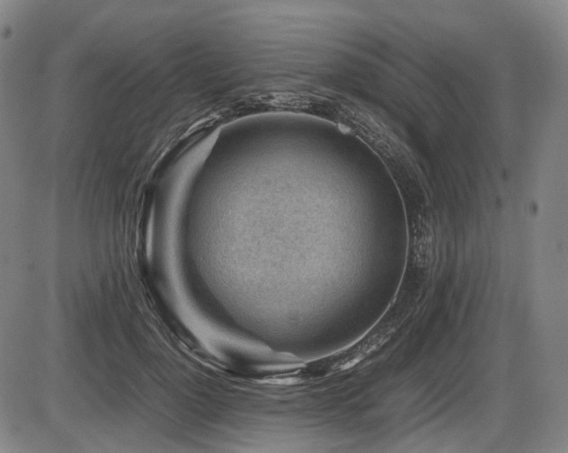 X0000086290748200703301135