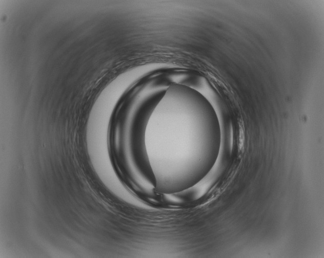 X0000086290750200703301135