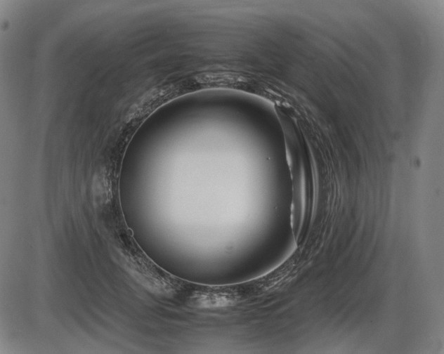 X0000086290751200703301135