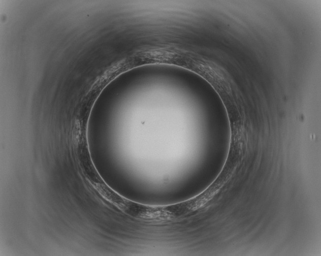 X0000086290752200703301135