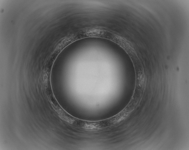 X0000086290753200703301135