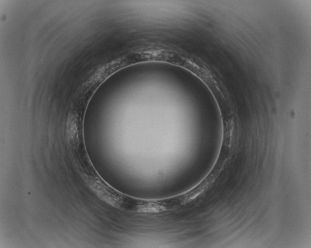 X0000086290754200703301135