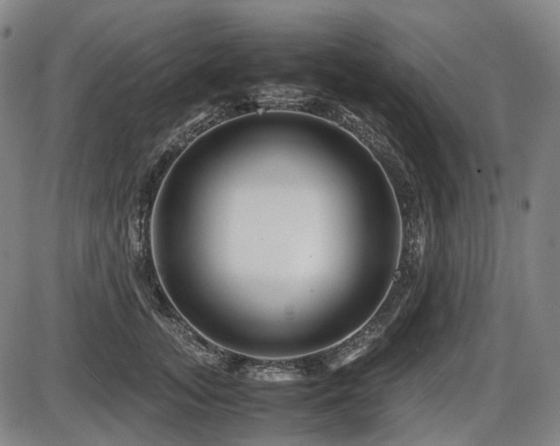 X0000086290755200703301135