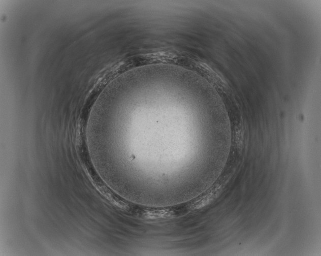 X0000086290757200703301136
