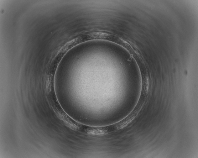 X0000086290759200703301136