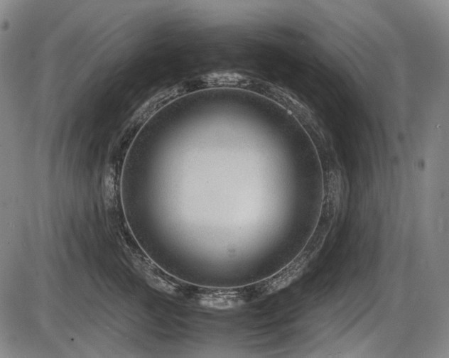X0000086290761200703301136