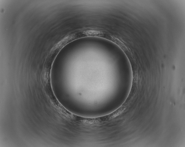 X0000086290763200703301136