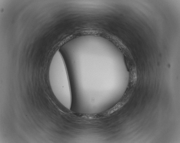 X0000086290764200703301136