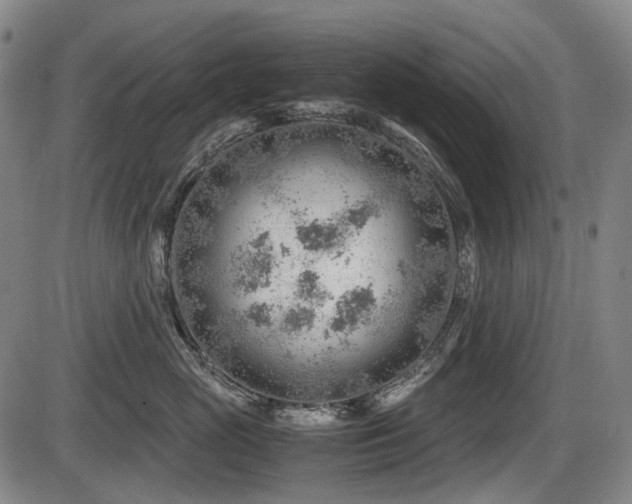 X0000086290765200703301136