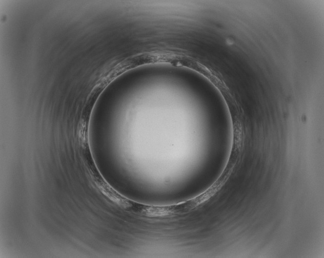 X0000086290766200703301136